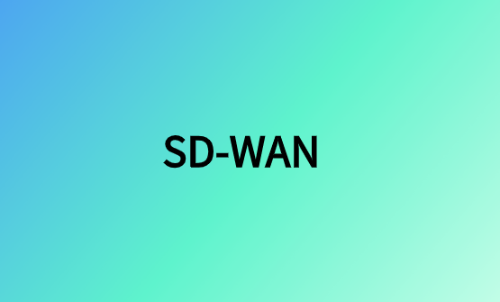 保護(hù)SD-WAN架構(gòu)