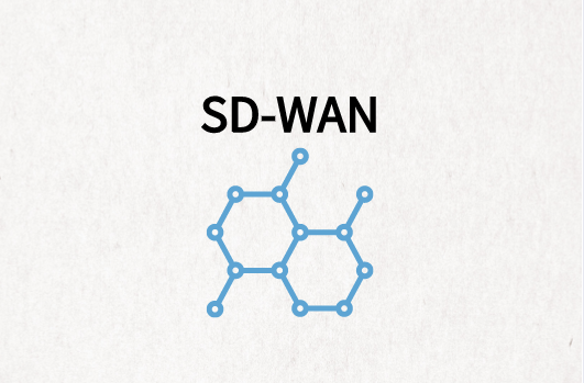 SD-WAN安全性領(lǐng)先