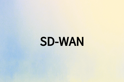 訪問(wèn)云應(yīng)用的SD-WAN