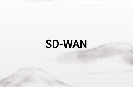 SD-WAN市場(chǎng)