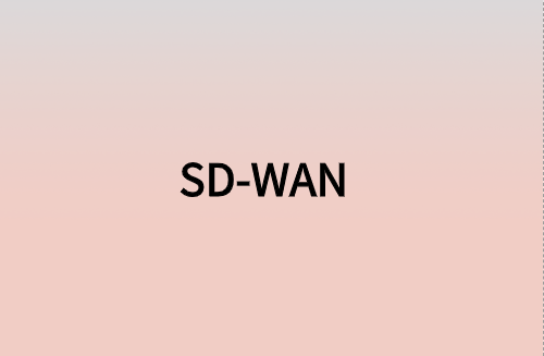 對企業(yè)而言，SD-WAN意味著什么?