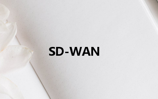 專用網(wǎng)絡(luò)SD-WAN