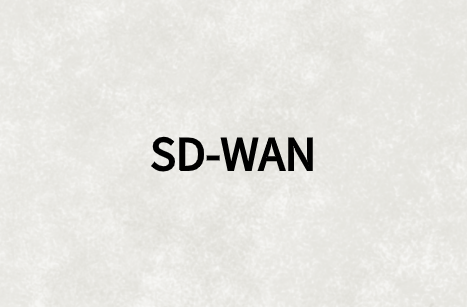 SD-WAN為企業(yè)有效增加分支站點帶寬需求